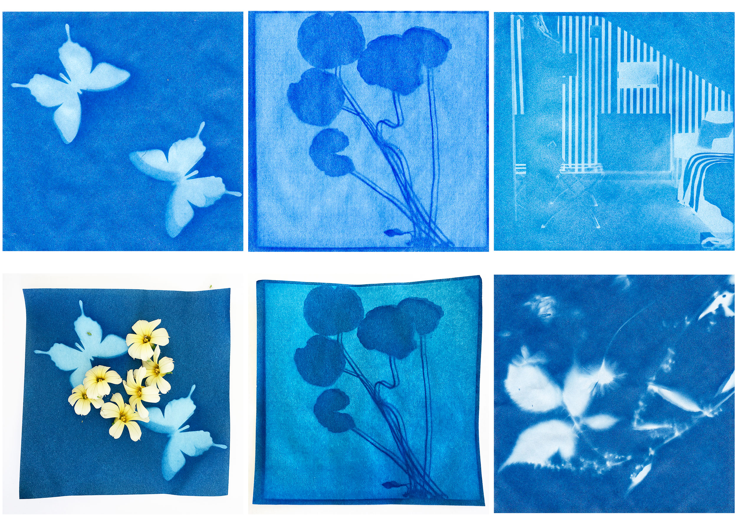 Cyanotype Process: Sun Prints